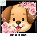 소망켄넬 | 양천구 애견카페 카페멍 목동점 가격 및 후기 추천 리뷰 주차 예약 알아볼까요