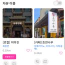호연나무 이미지