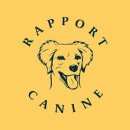 퍼피스쿨(puppy school) 이미지