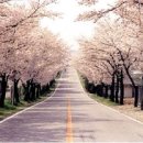 일본어 회화(중급) 이미지