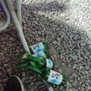 가양빗물펌프장 | (염창동) 유림 한식당 닭도리탕 전문점 소문대로~~최고!