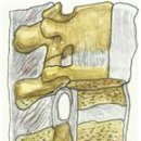 포도나무한의원 이미지