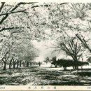 공설운동장 서편 이미지