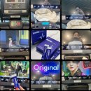 신체의 열매 | 운동할 때 도움되는 알파매일 아르기닌 에너지젤 액상스틱 피로 회복 후기