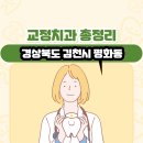 박희대 | 경상북도 김천시 평화동 교정치과 총정리
