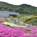 화랑마을-4 이미지