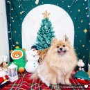 쏭스토랑 이미지