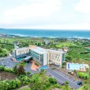 효돈축구공원 천연잔디구장 이미지