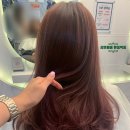 리안헤어 완정역점 이미지