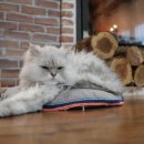 순이민박 이미지