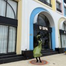유스파 | 나트랑 혼총곶 오션뷰 카페 픽드랍 무료 유스파 후기