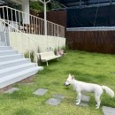 두부스테이 이미지