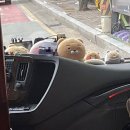 탄선생 | 만들기, 마라탕 컵누들 후기, 운전연수, 대학생활, 솔찬공원, 솔찬공원카페, 용용선생, 스타벅스...