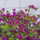 초원가든 이미지