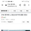 블루럽 이미지