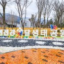 매화1차 어린이놀이터2(1410동) | 구례가볼만한곳 3월 핫한 여행지-섬진강수달생태공원