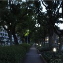 [국립] 名古屋大学：나고야대학교 이미지