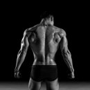 미남스포렉스 이미지