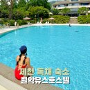 더폼호스텔 | 제천 월악유스호스텔 예약 수영장 가격 조식 독채 숙소