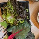 금호로 | 수원 금호로 맛집 이배재직화쌈밥불향 가득한 직화제육에 싱싱한 쌈채소까지! “여기 쌈밥 제대로네?”