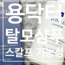 용닥터몰