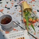 붓다보이차