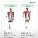JS케어 이미지