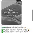 꼴레지오니스타 이미지