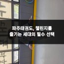 국가대표 열정태권도 | 파주태권도, 챌린지를 즐기는 세대의 필수 선택