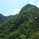 제70차 안중산여울산악회 단양소재 "도락산965m"정기산행[진행중] 이미지