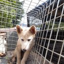 지산3리 이미지