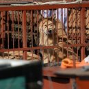 상인택지 이미지