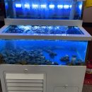 장강손짜장 | 구래동 짬뽕, 인천 검단 맛집 <장강>