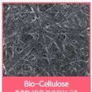 (주)테라시온바이오메디칼 | 내일] 백만샷 37만원할인! 연말특가!! 딱 한번의 기회!