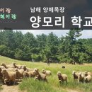준혁목장 티스토리
