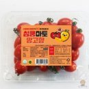 토마토컴퍼니