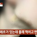 여자친구 삭발, 감금, 폭행한 남자에 대한 추가폭로 이미지