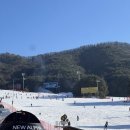 펜스키 전문정비 | 횡성 웰리힐리파크 초등아이 1:3 스키강습ㅣ어린이 강습전문 시그너리스키 체험 솔직리뷰