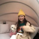 이쁘개즐겁개 | 내돈내산 애견펜션 재방문_이쁘개즐겁개 10월후기