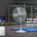 남양주유기견보호소의 여름나기를 도와주세요 D-76 이미지