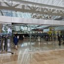 인피니티 라이즈 | [싱가포르여행] 마리나베이샌즈호텔 인피니티풀, 마리나베이 수영장, 라이즈 조식후기