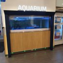 쿠우쿠우 주안점 이미지