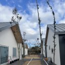 포르투나 스테이 인 표선 이미지