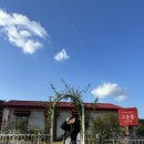 고운채 스테이 이미지