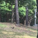 뒷동산 Daum카페