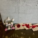 장미공연장1층 이미지