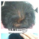 사직2동-26 이미지