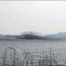 가장 아름다운 노래 (가창) 이미지