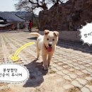 몽실마을 이미지