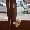 감성커피포항 | [포항 카페] 문덕 감성 가득, 아기자기하고 고급진 '숏츠커피바' 방문 후기☕️
